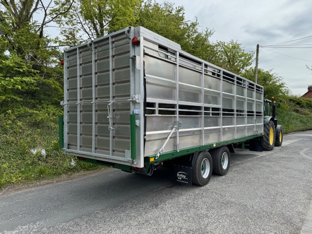 BAILEY SHEEP CATTLE TRAILER